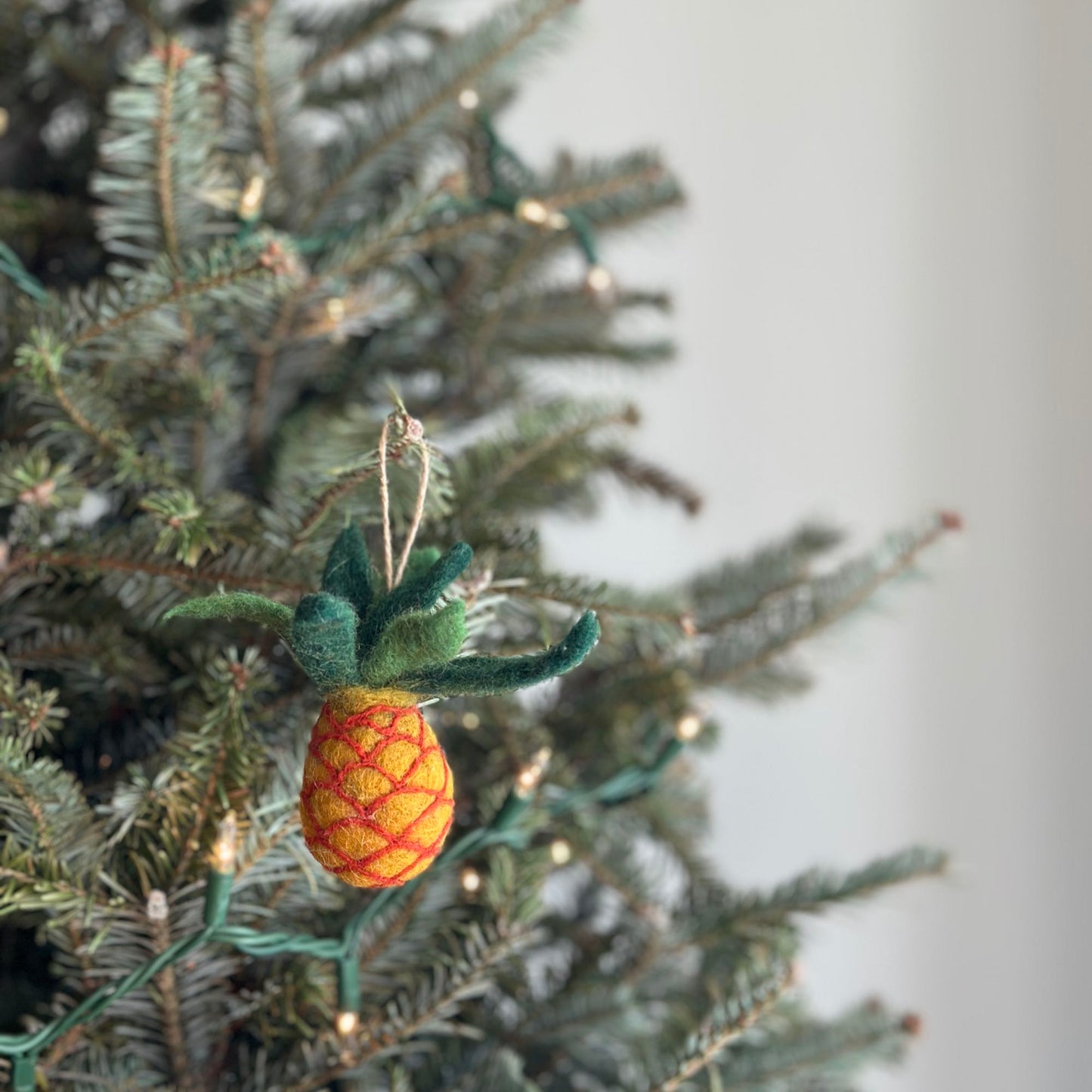 Felt Ornament Set of 3 - Tropical Theme