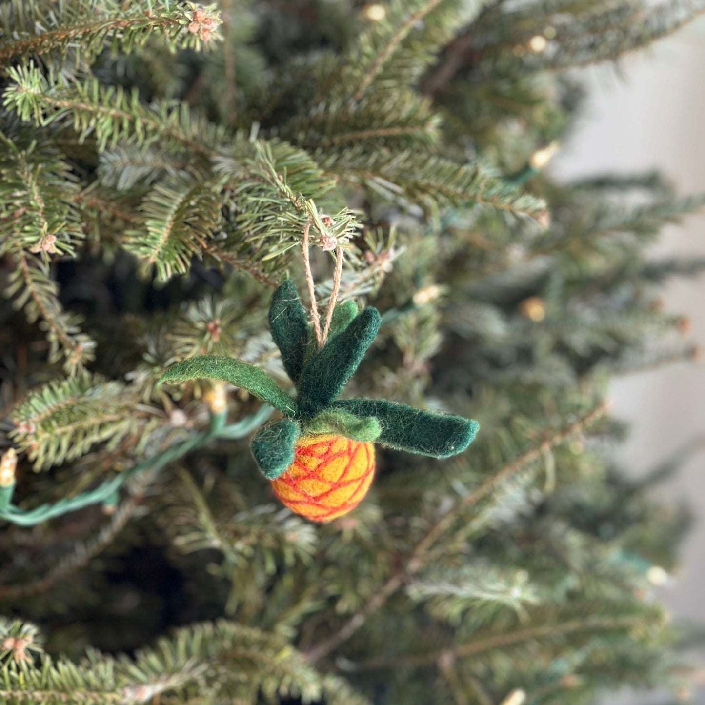 Felt Ornament Set of 3 - Tropical Theme