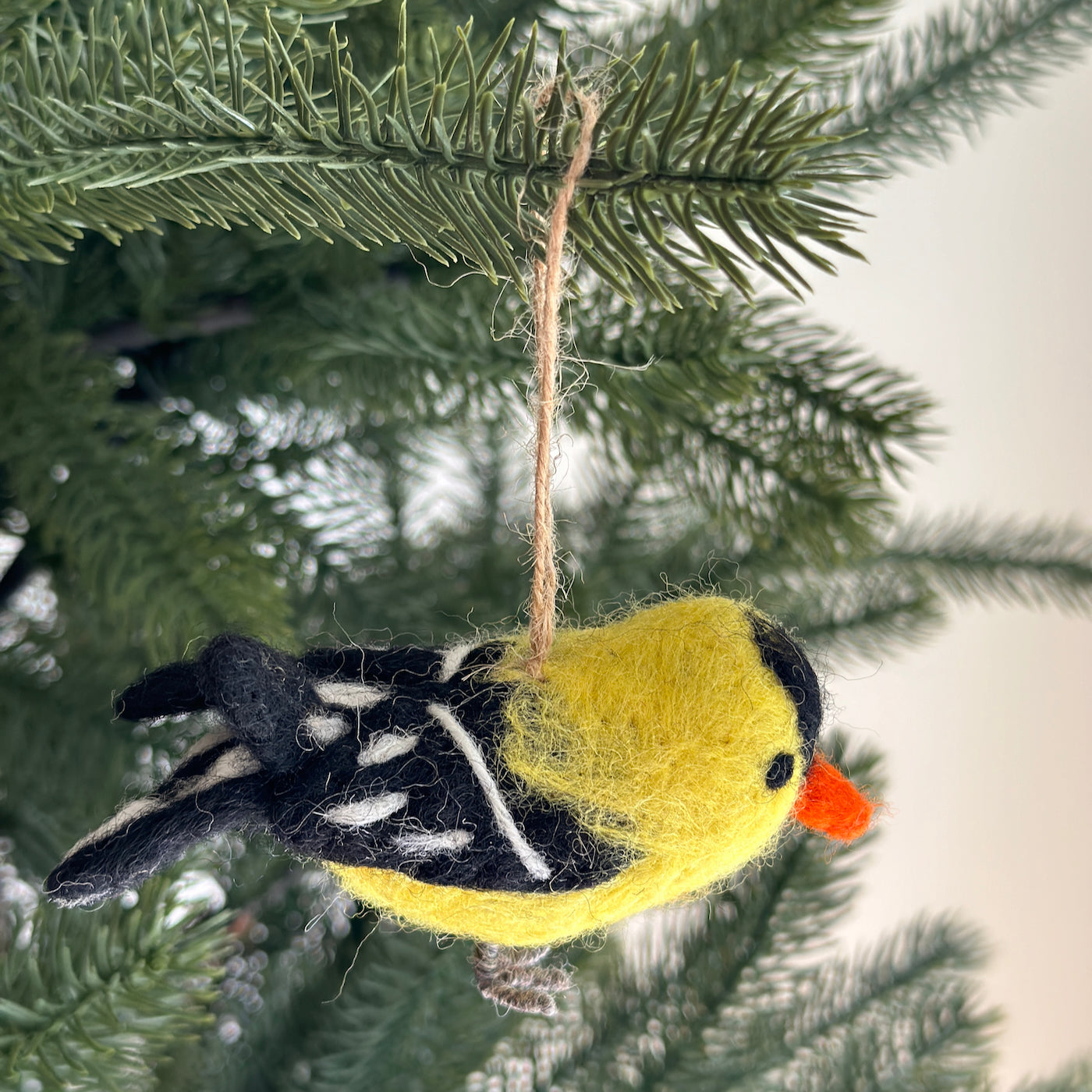 Felt Bird Ornaments Set of 6 - Birds of America (B Set)