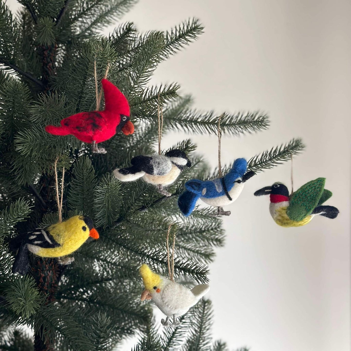 Birds of America Christmas Ornaments - Set of 6