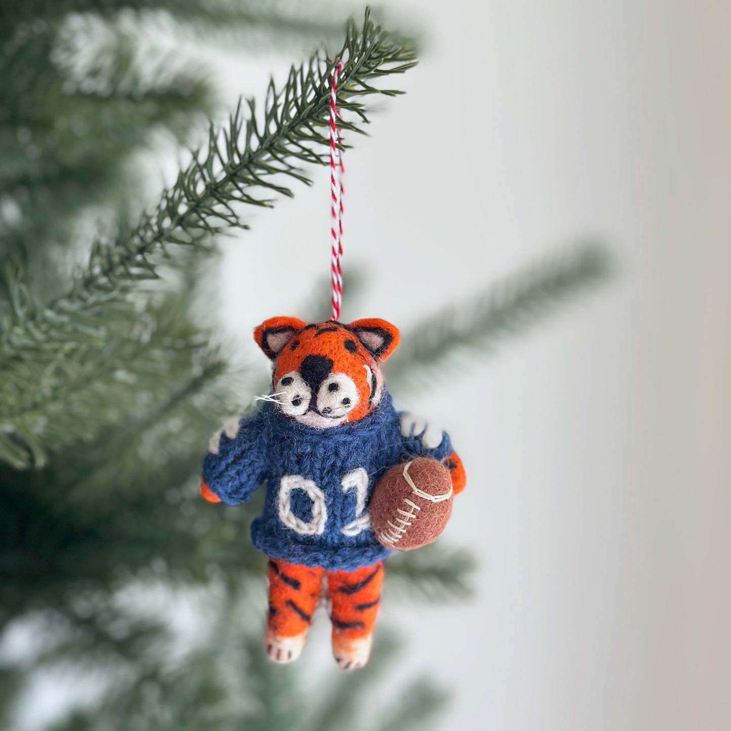 College Football Collection - Auburn Tiger