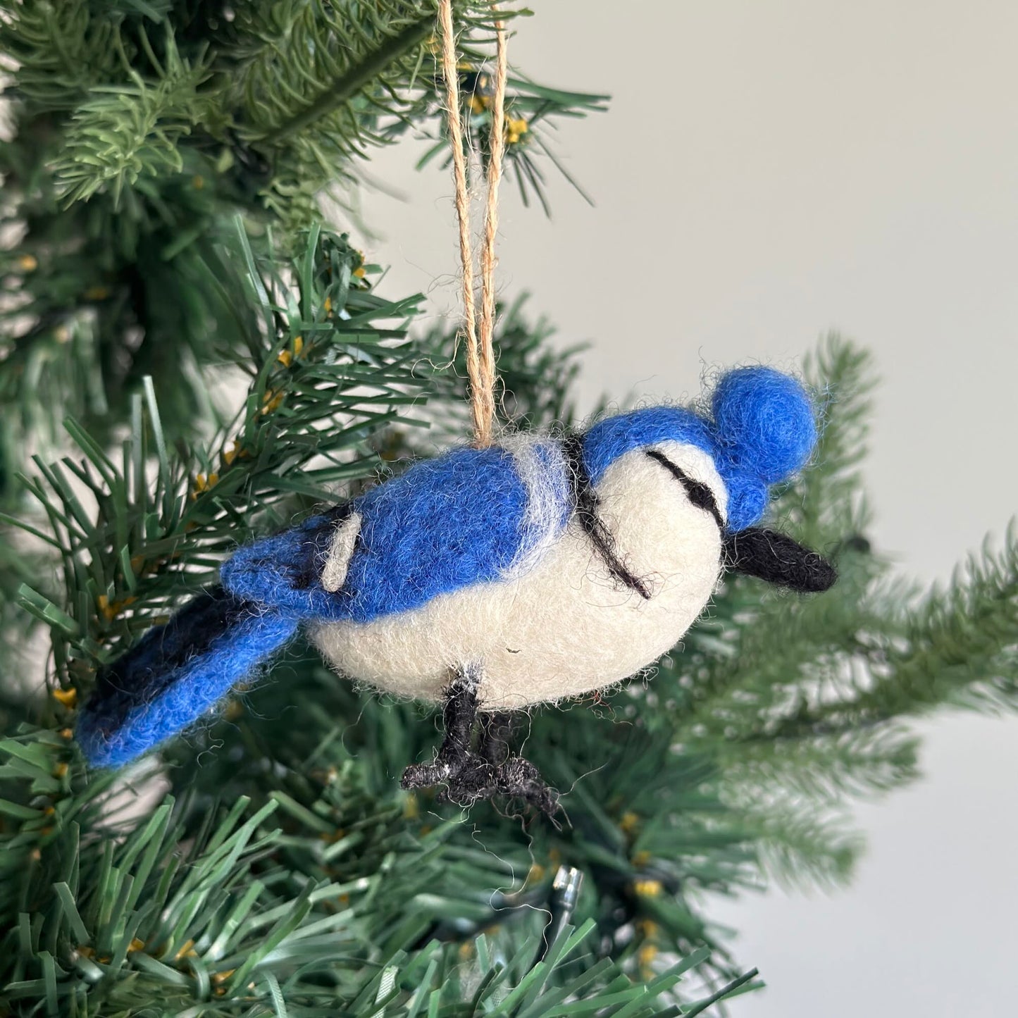 Birds of America Christmas Ornaments - Set of 6