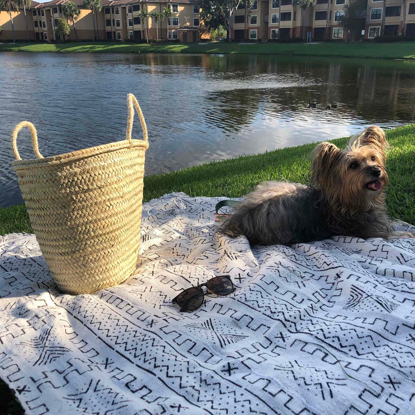 French Straw Basket