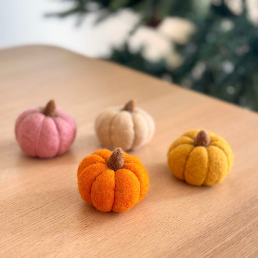 Felt Little Pumpkin