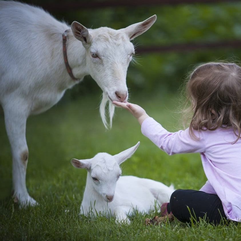 White Goat Finger Puppet