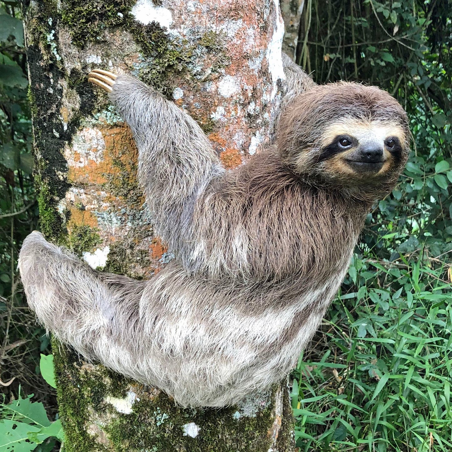 Sloth Finger Puppet